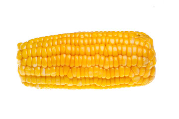 corn isolated on white