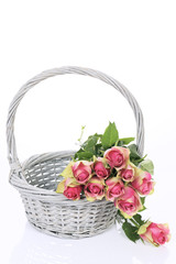 Fototapeta na wymiar piękne różowe róże w koszyku