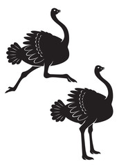 ostrich