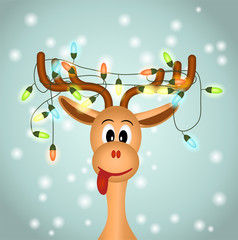 funny reindeerw with christmas lights