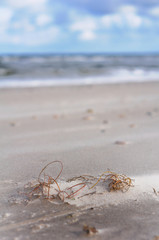 by the seaside