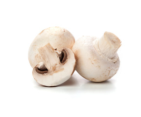 Fototapeta na wymiar mushrooms on white