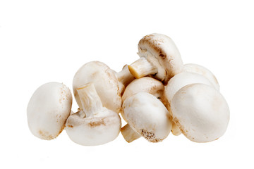 mushrooms isolated on white