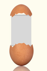 Flipchart in egg