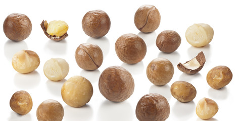 nuts of macadamia on white background