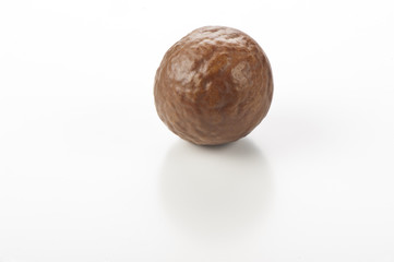 nuts of macadamia on white background