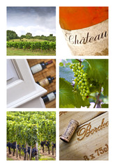 Vin, vignoble, viticulture, vigne, Bordeaux, bouteille