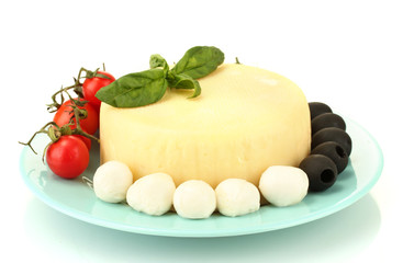 cheese mozzarella with vegetables in the plate isolataed