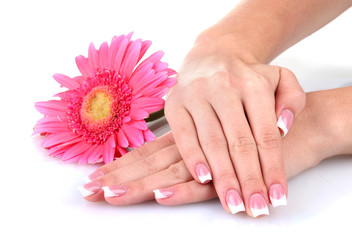 Woman hands with french manicure and flower isolated on white