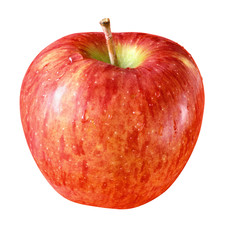 appetite RED apple