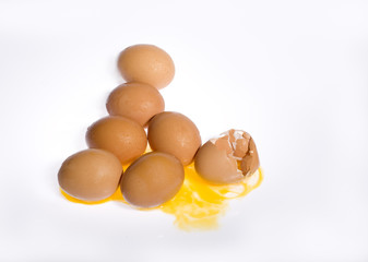 Egg and Broken Eggshell