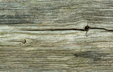 Wood planks