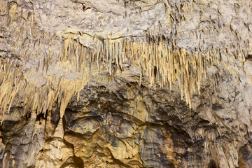 Gallery of cave