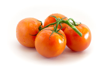 Branch of red tomatoes isolated on white background