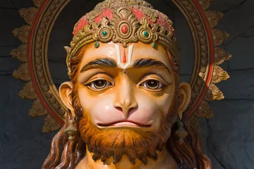 Tuinposter Hanuman statue in Rishikesh, India © OlegD