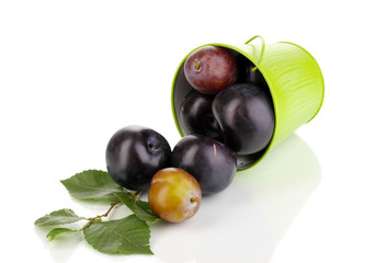 Rip plums in pail isolated on white