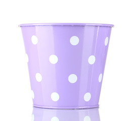 Purple bucket with white polka-dot isolated on white