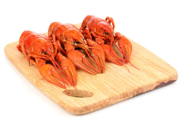 Tasty boiled crayfishes on chopping board isolated on white