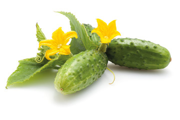 Cucumbers with flowers