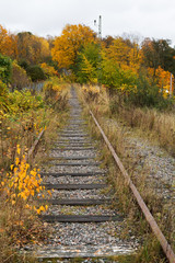 Fototapeta na wymiar Old overgrown railroad tracks in autumn.