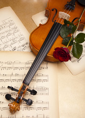 Naklejka premium Violin and rose