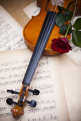 Naklejka premium Violin and rose