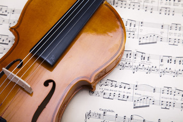 Fototapeta premium Classical violin