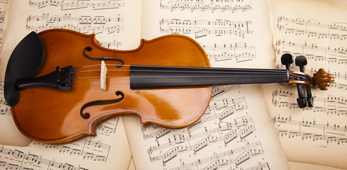 Naklejka premium Violin