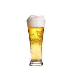 Cold lager beer in glass. Isolated on white background