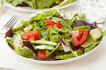 Fresh Green Organic Garden Salad