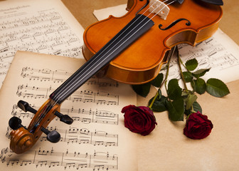 Obraz na płótnie Canvas Valentine skrzypce