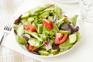 Fresh Green Organic Garden Salad