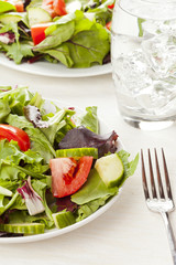 Fresh Green Organic Garden Salad