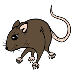 Rat draw