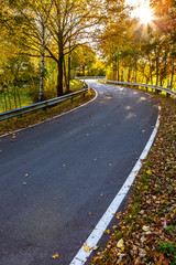Sunny Autumn Road