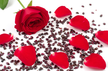 赤いバラの花と花びらとガーネットの原石