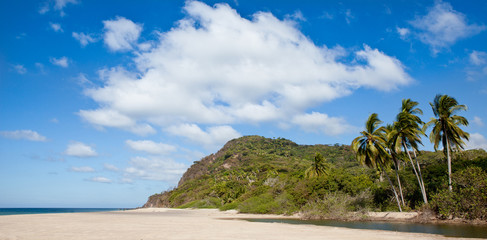 Fototapeta na wymiar Remote beach with palm trees