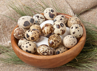 chicken and quail eggs in wooden bowl