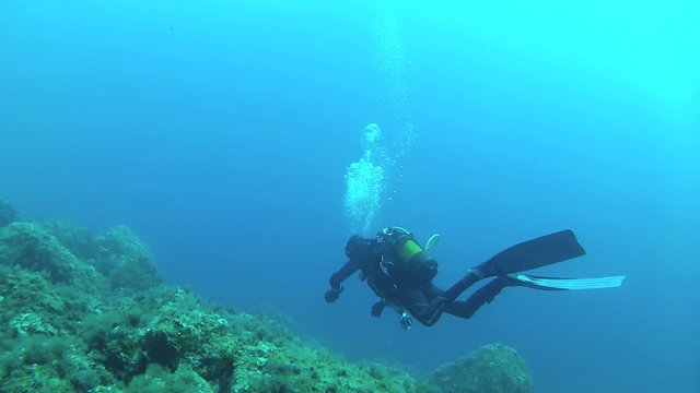 immersione subacquea diving barracuda