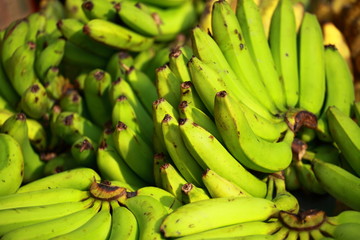 Tropical bananas in local bazaar in India.