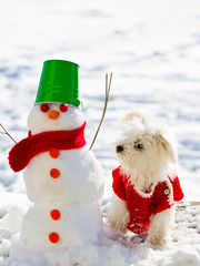 Winter fun - cute puppy playing with snowman