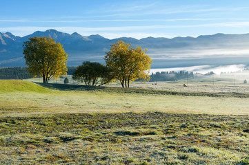 altopiano del cansiglio 2432