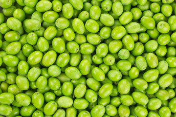 Fresh Harvested Green Olive for oil production pattern texture.