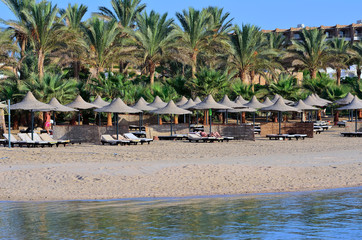 palme e spiaggia