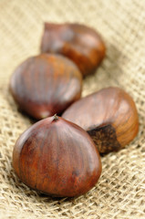 Chestnuts