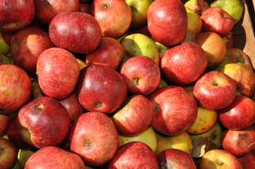 Äpfel