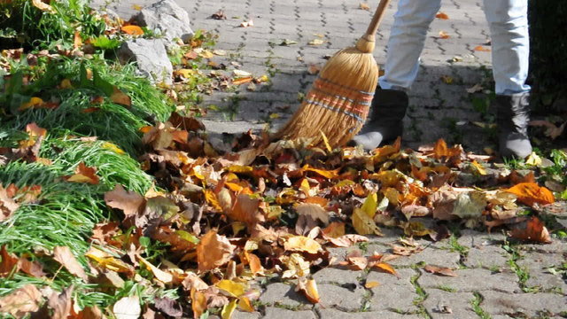 Herbstbl&auml;tter zusammenfegen
