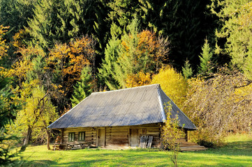 Wooden House with Forest