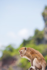 Thailand - Phra Nang Beach - Krabi