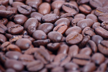 Kaffee Bohnen
